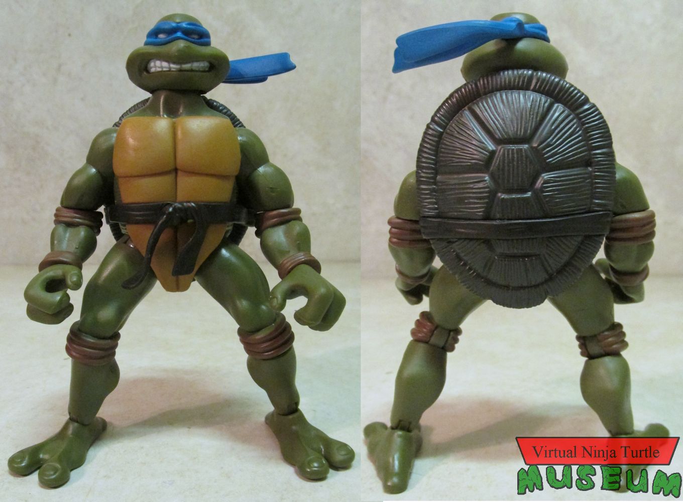 Leonardo front and back