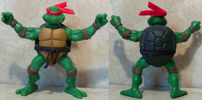 Shellastic Raphael