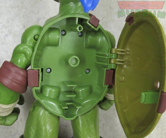 Leonardo with shell open