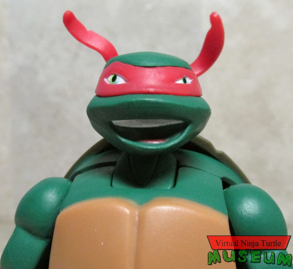 Raphael close up