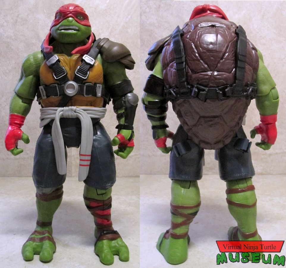 Raphael front and back