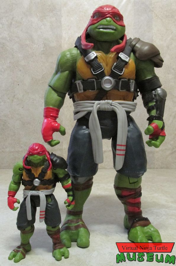 Raphael with basic assortment Raph