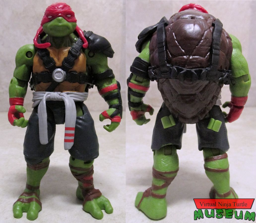 Raphael front and back