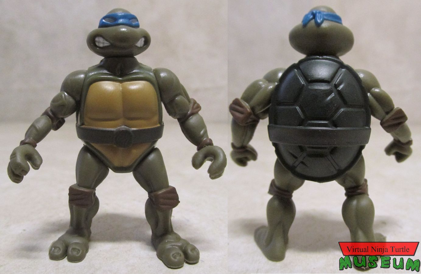 Leonardo front and back