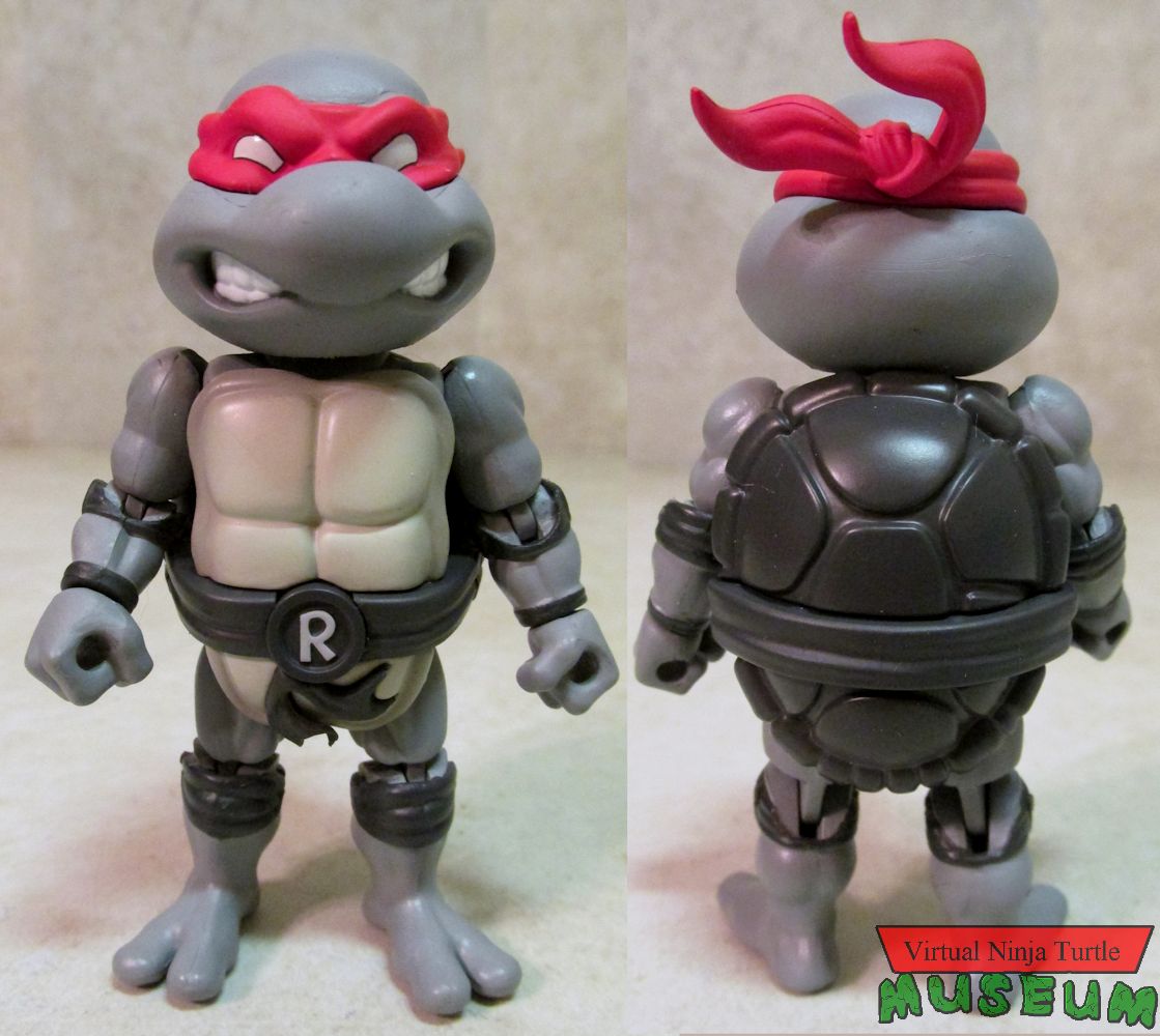 Raphael front and back