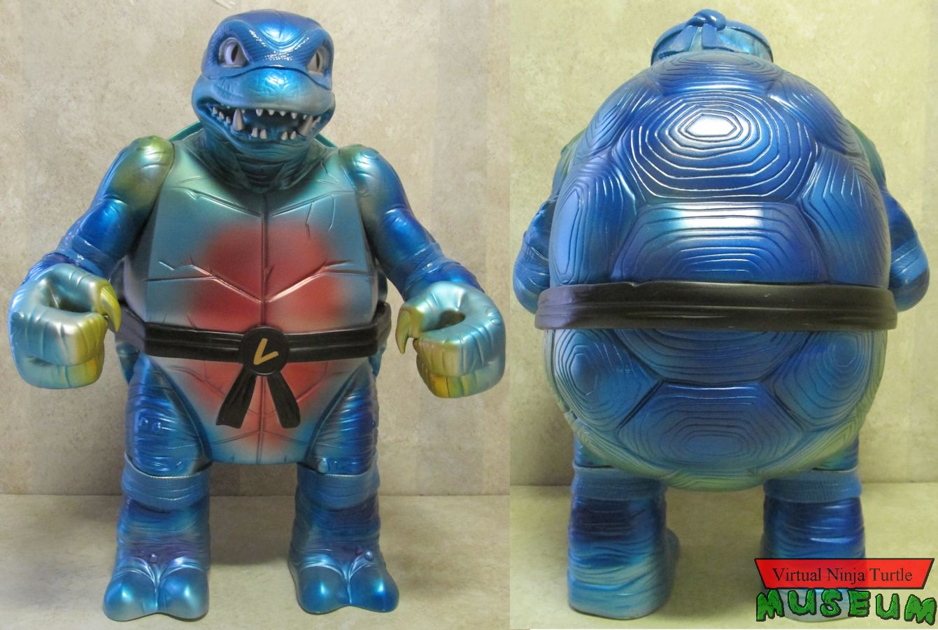 Leonardo front and back