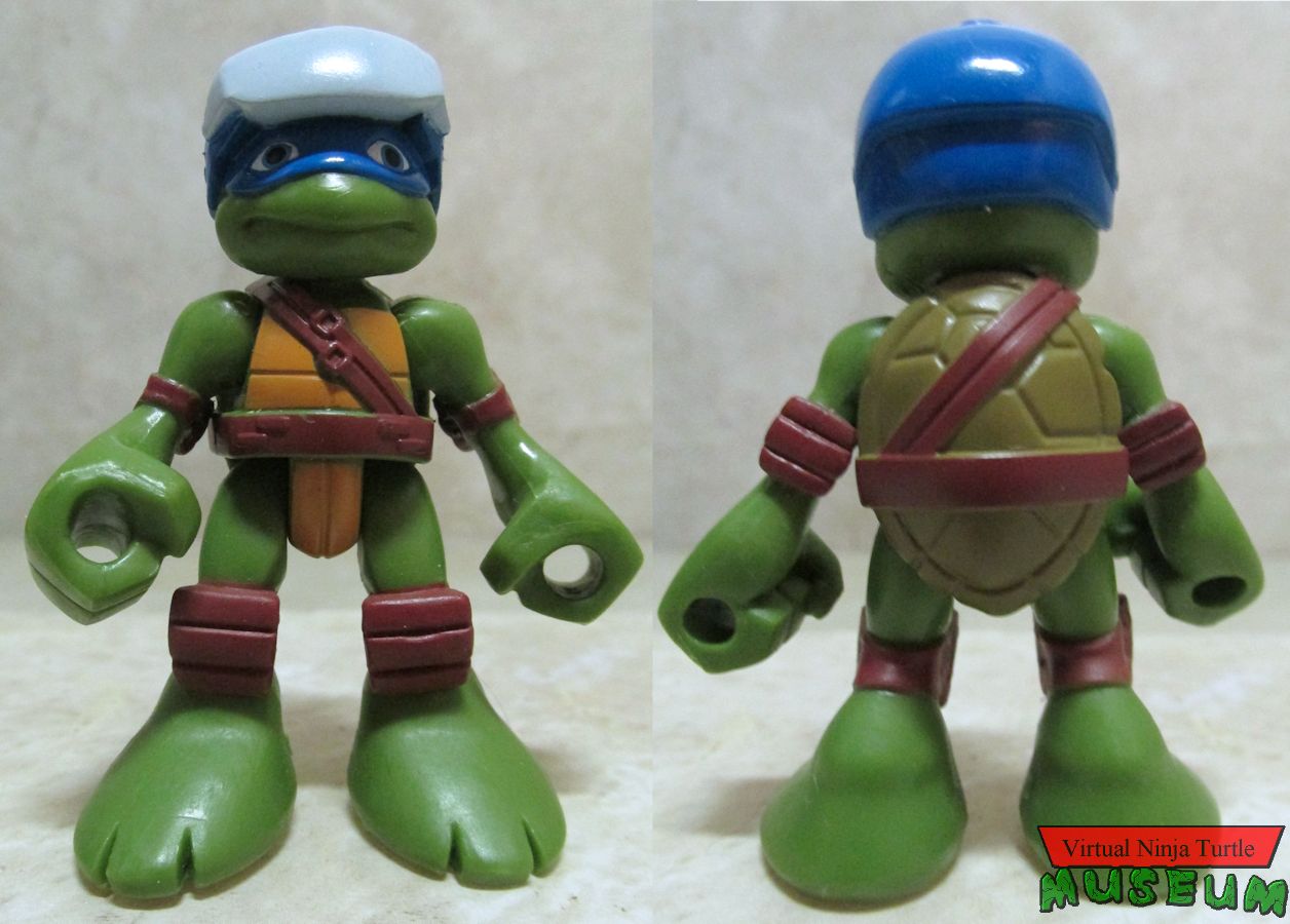 Leonardo front and back