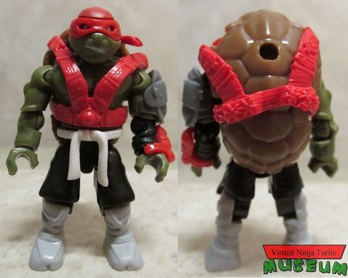 Raphael front and back