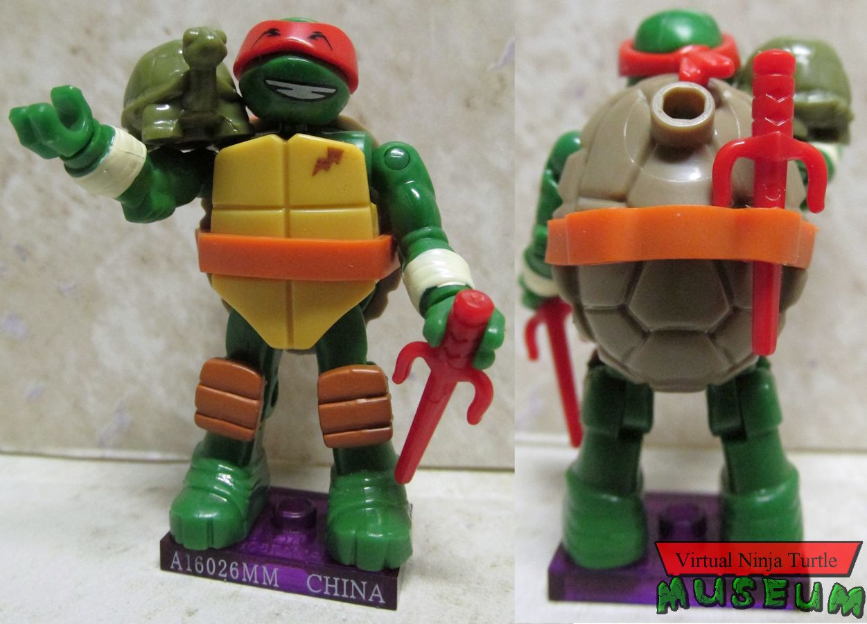 Raphael front and back