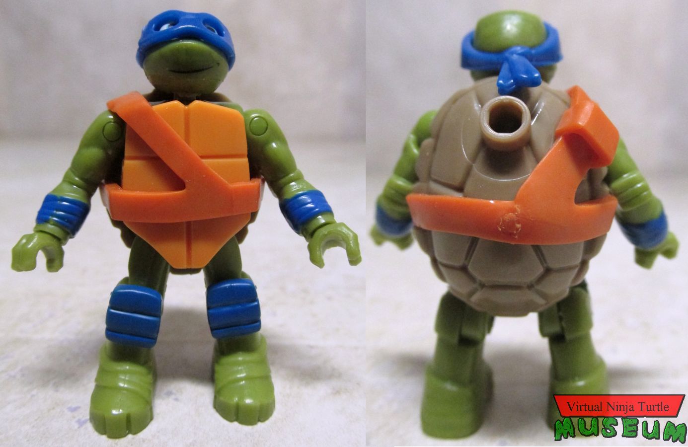 Leonardo front and back