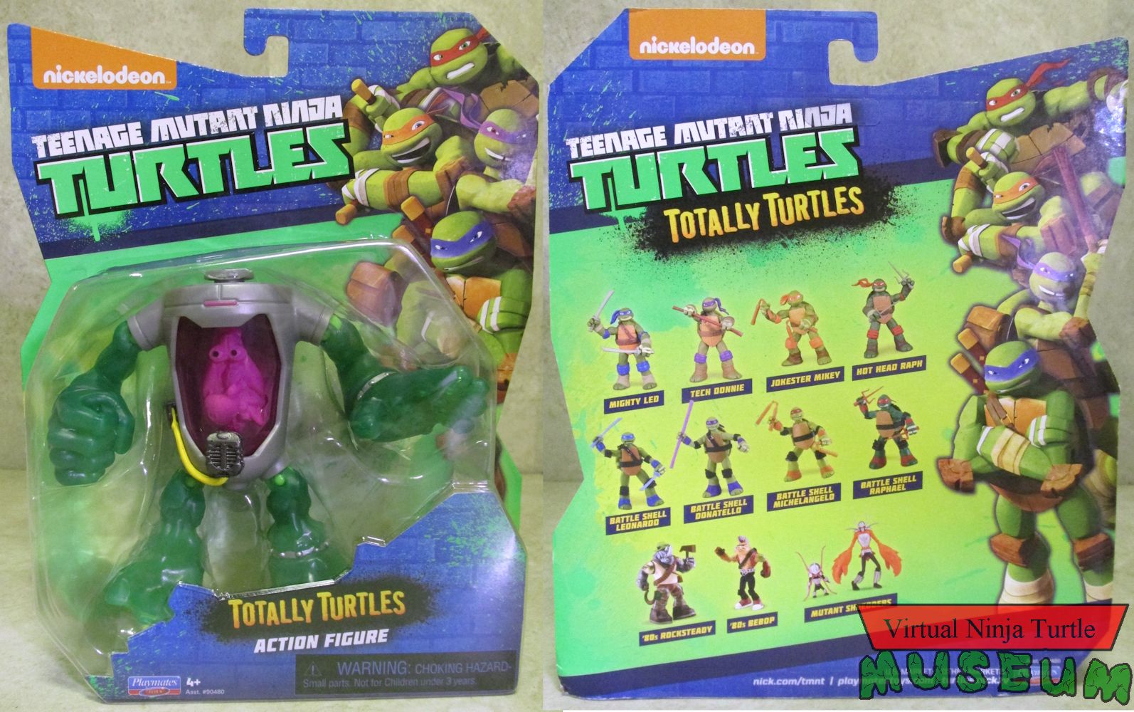 Totally Turtles card front and back