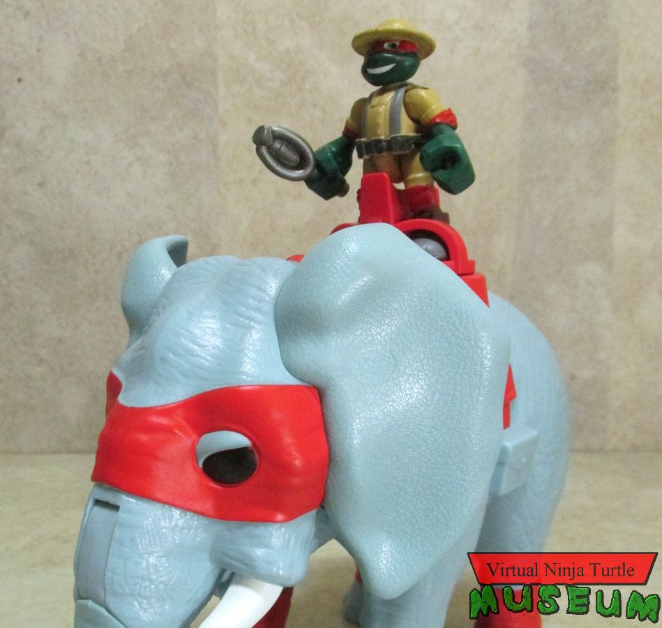 raph on elephant