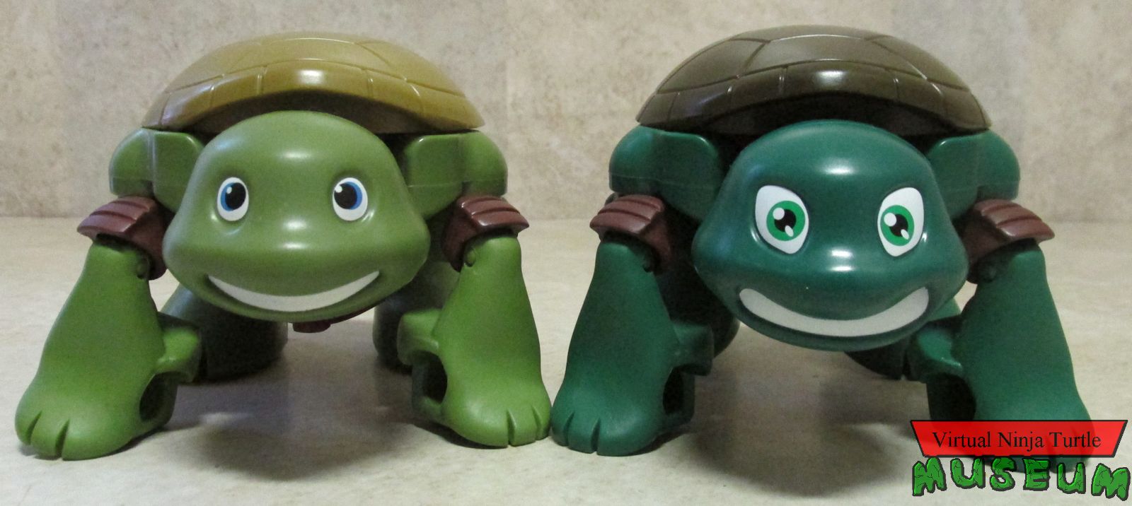 Pet to Ninja Figures in Turtle form