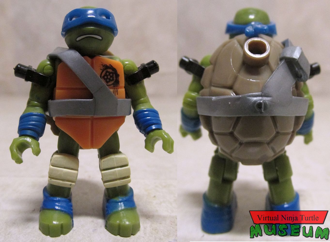 Leonardo front and back