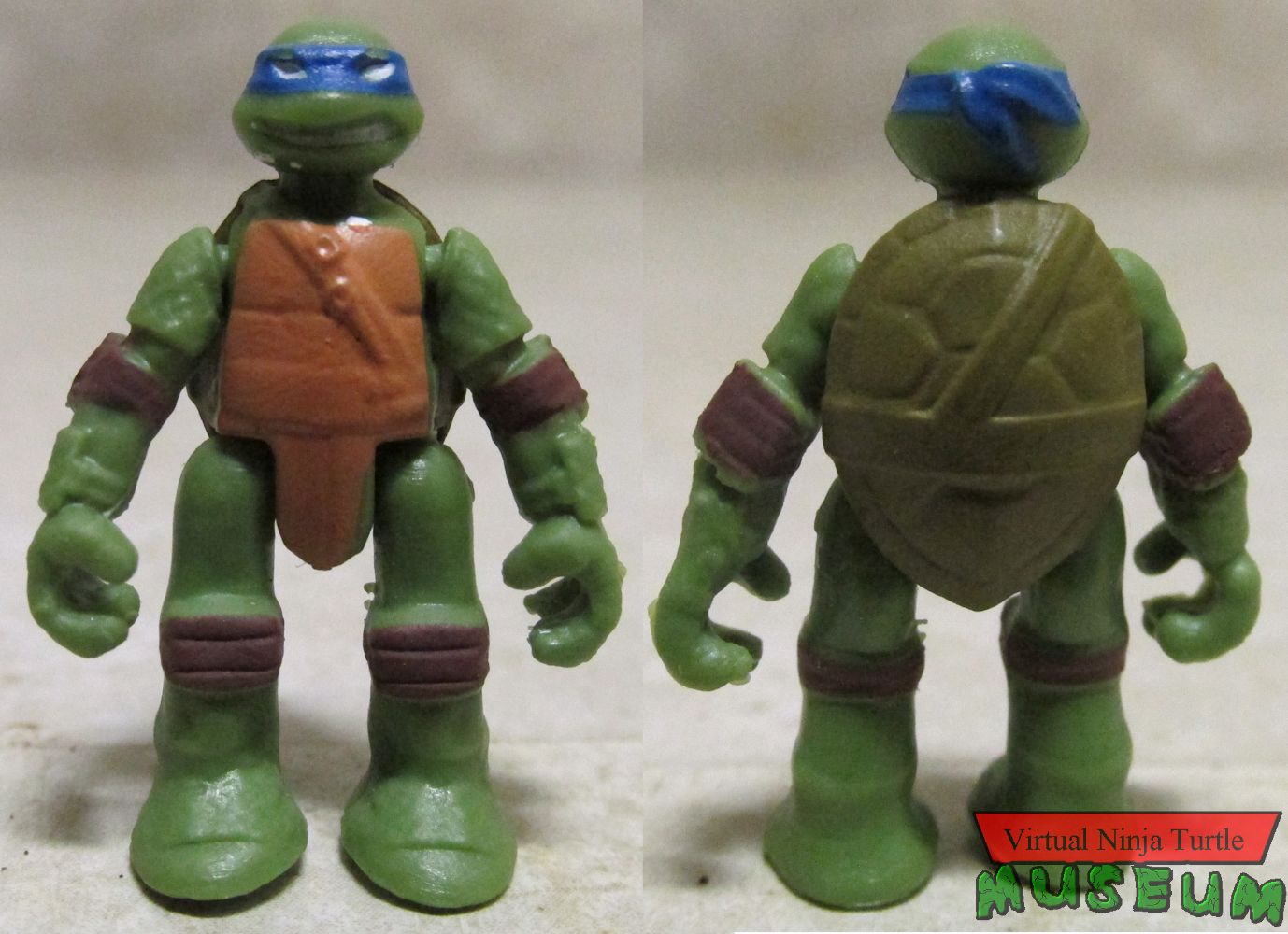 Leonardo front and back