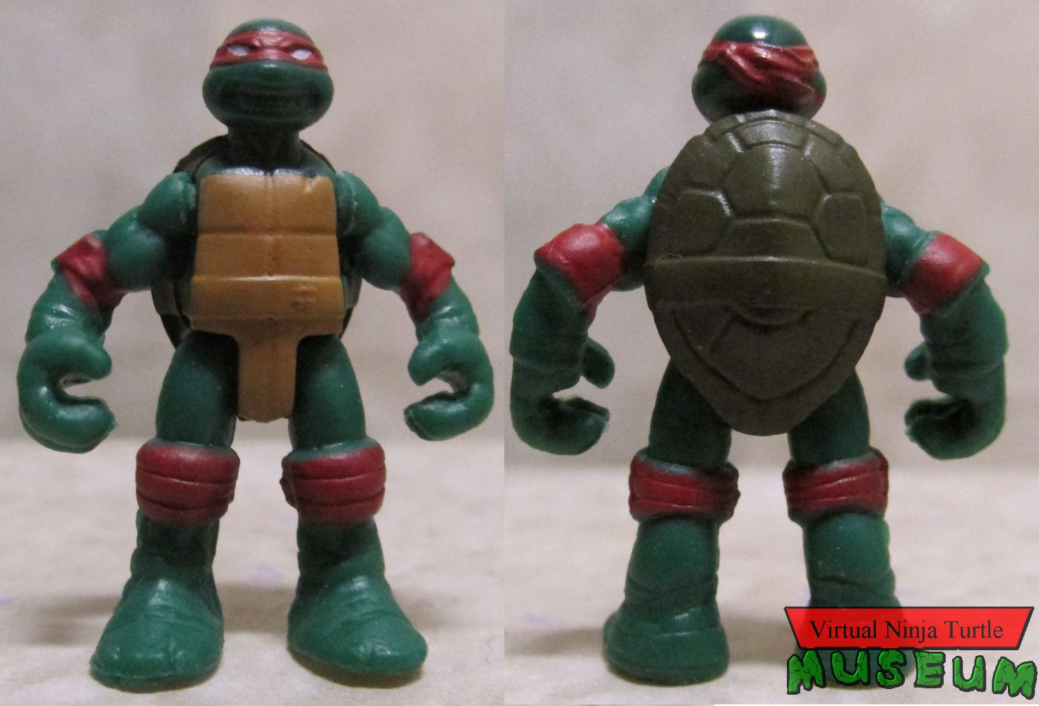 Raphael front and back