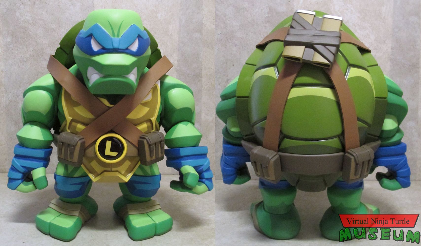 Leonardo front and back