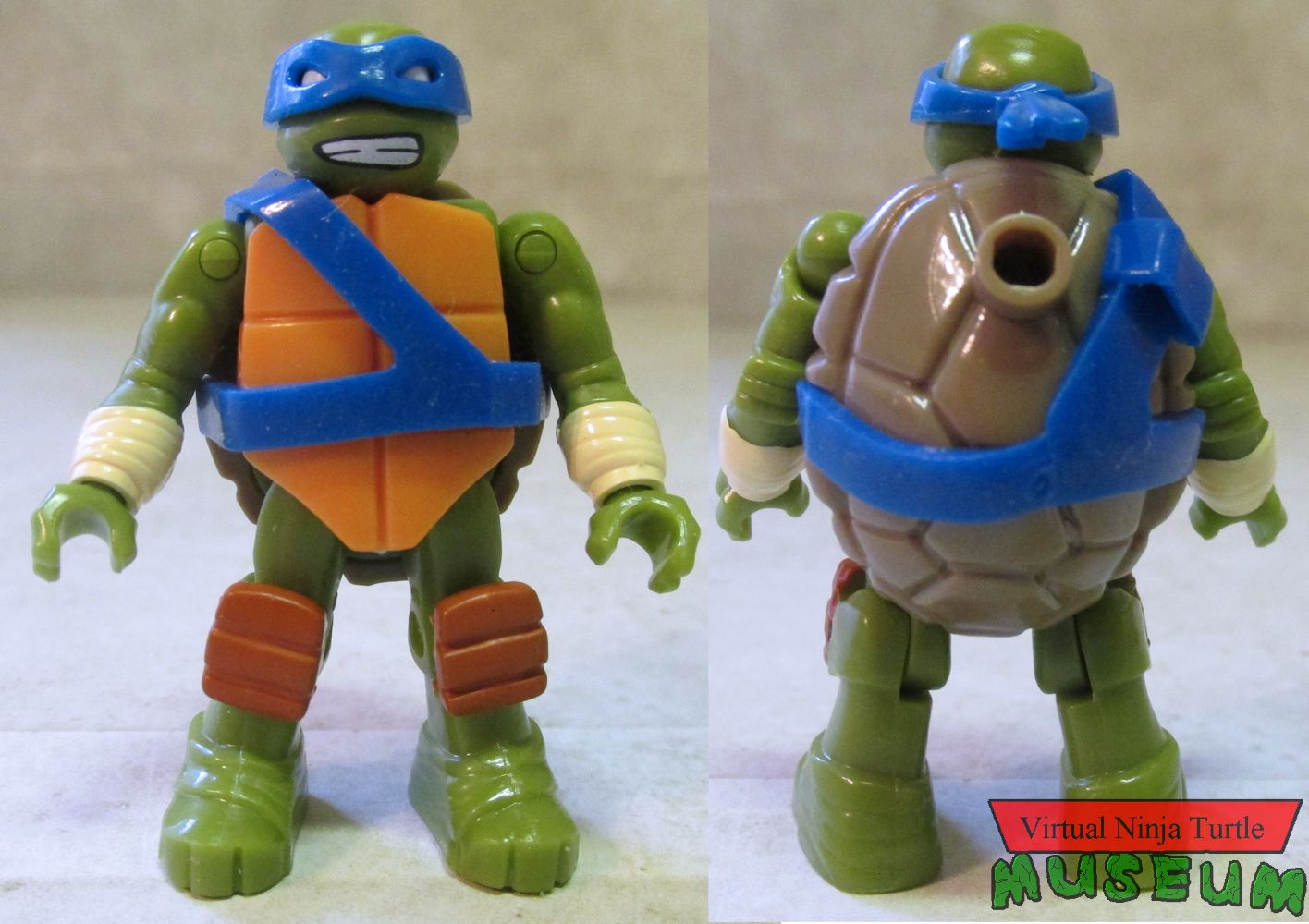 Leonardo front and back