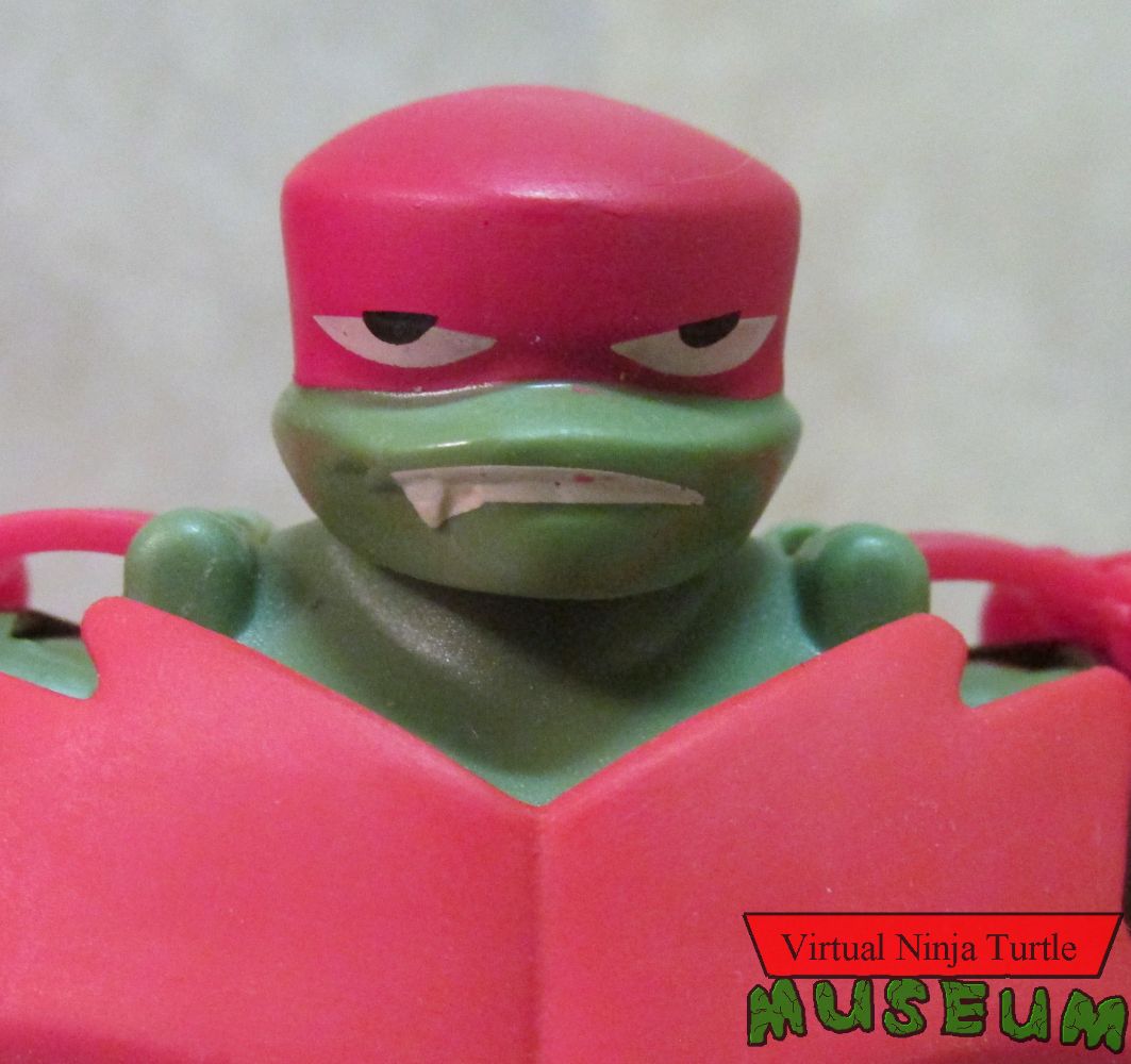 Bug Bustin' Raphael close up