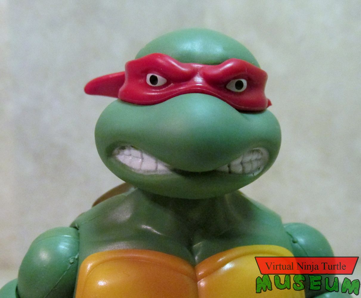 Raphael close up