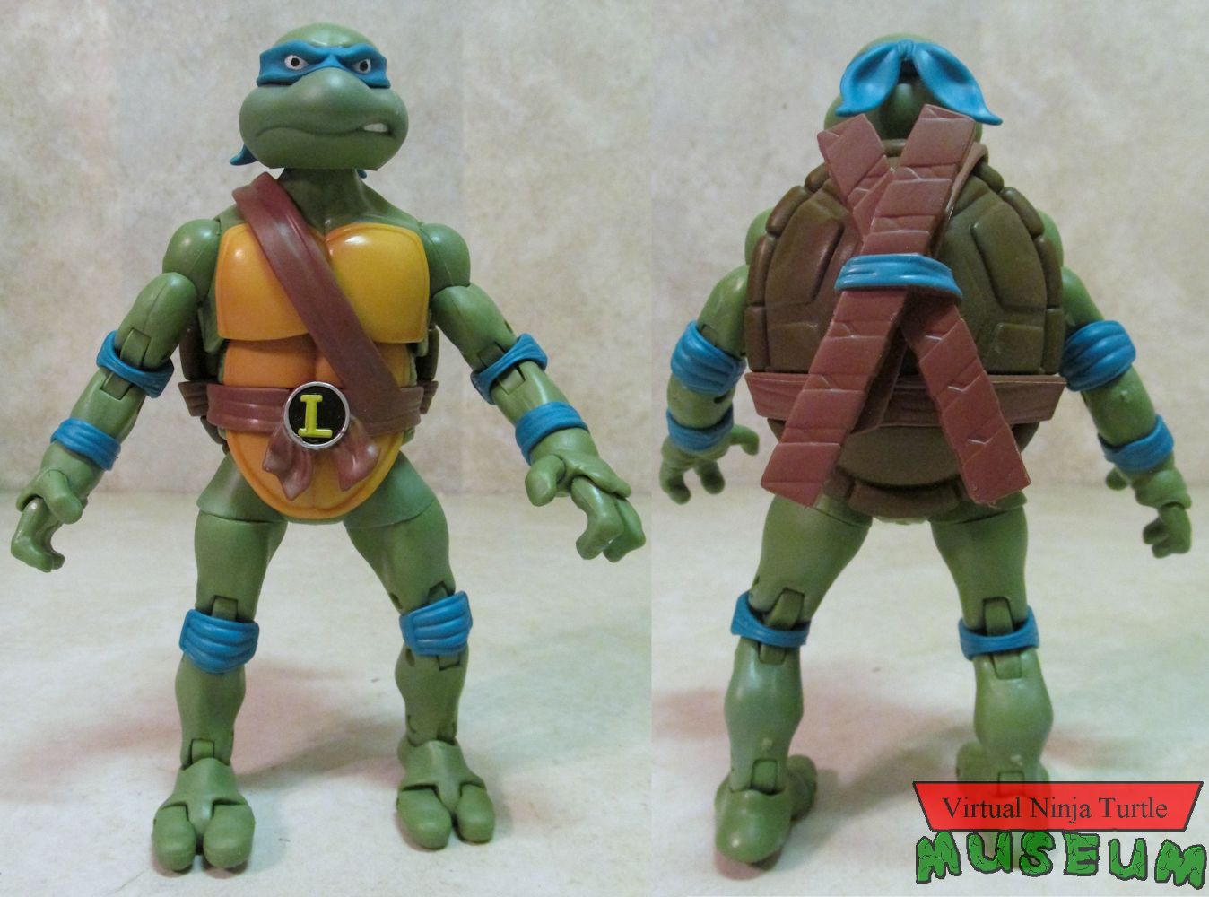 Leonardo front and back