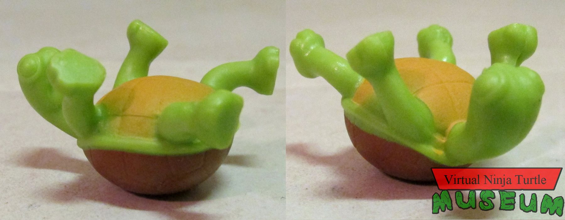 upturned surprise Turtle