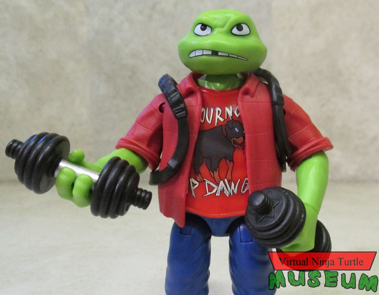 Raphael with weights