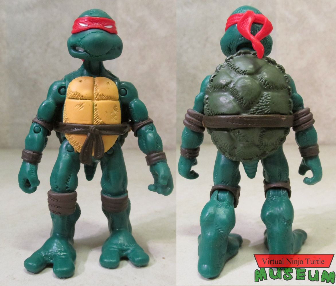 Comic Book Series Donatello front and back
