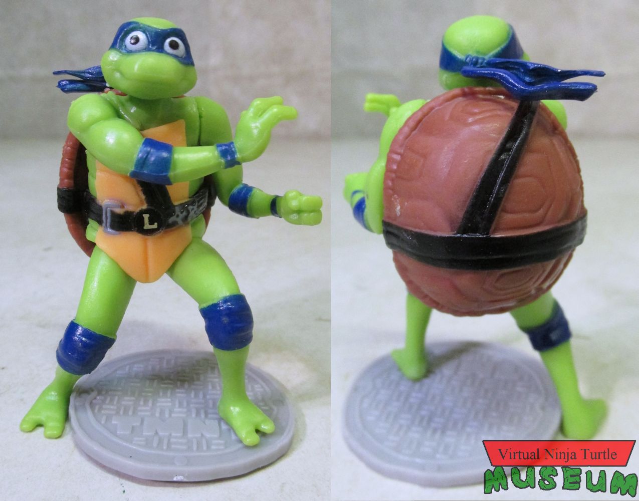 Leonardo front and back