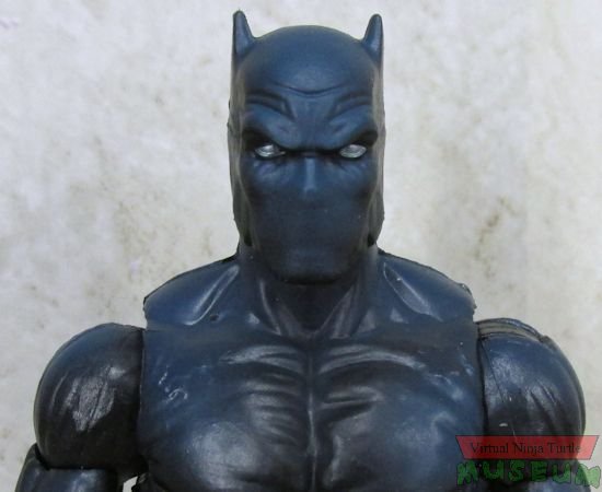 Black Panther close up