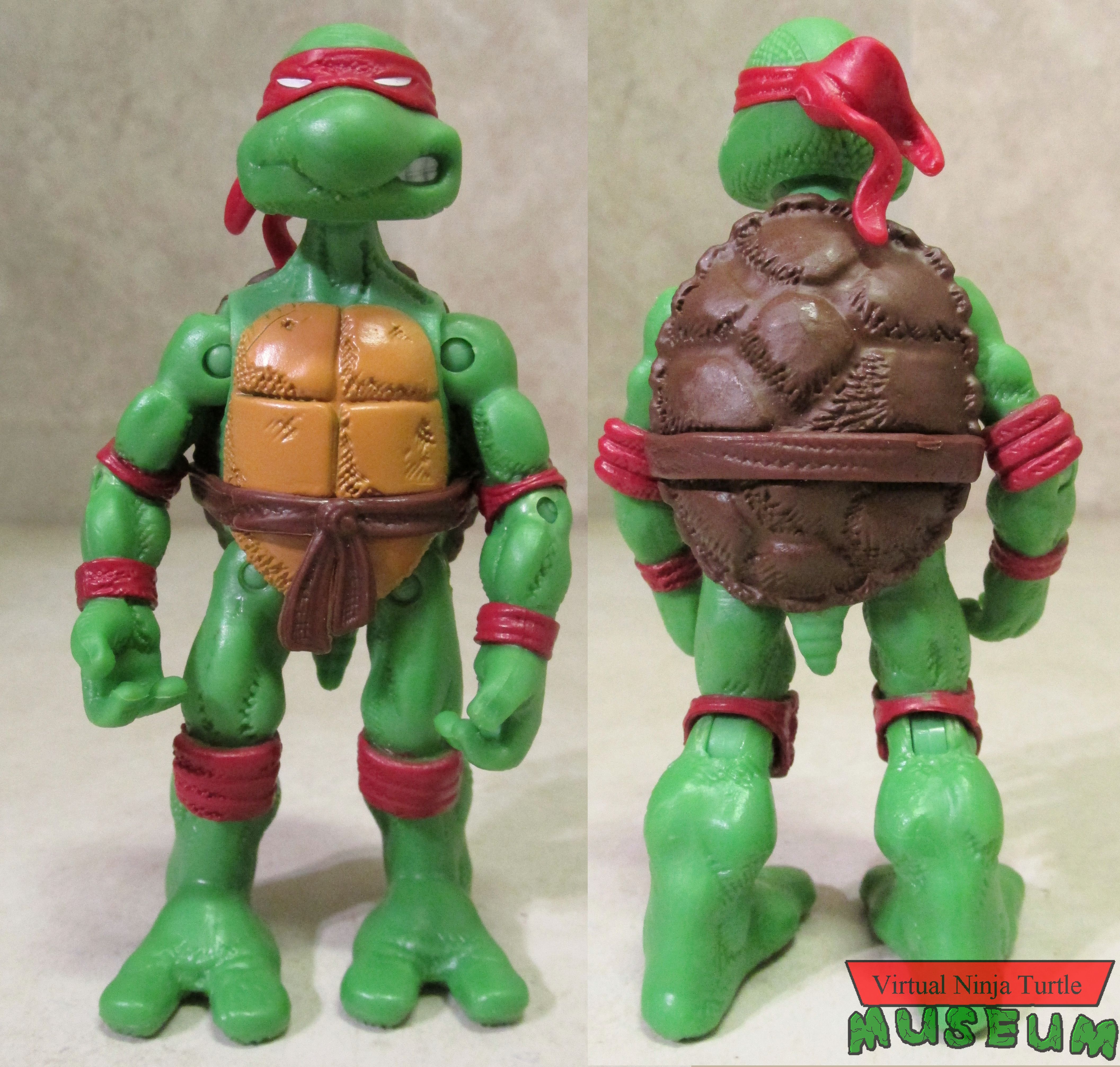 Raphael front and back