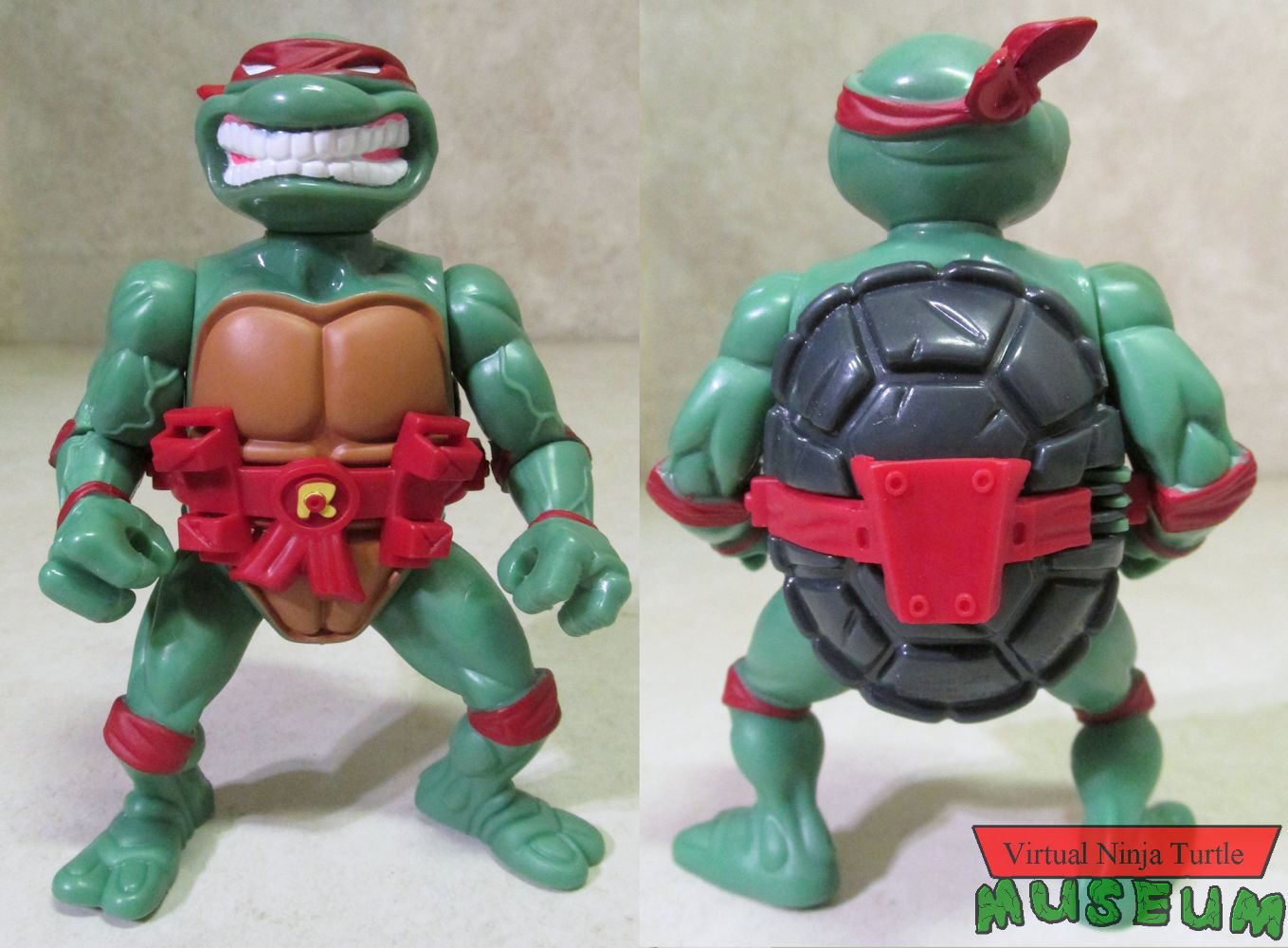 Raphael with storage shell front and back